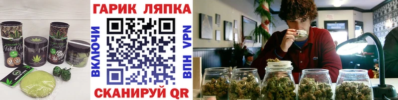магазин наркотиков ссылка на мегу сайт Печенье с ТГК марихуана Кострома
