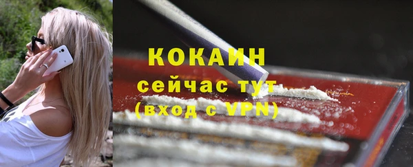 шишки Богородск