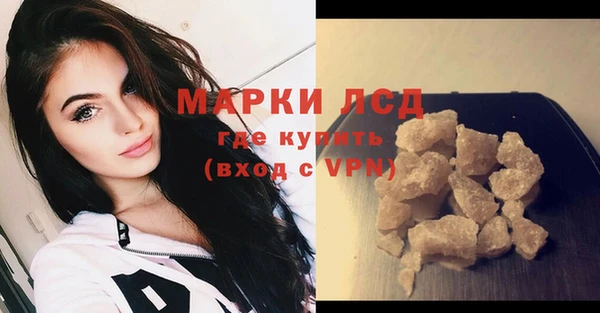 apvp Бородино