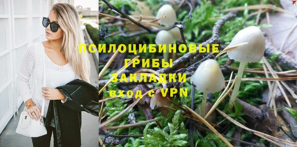 шишки Богородск