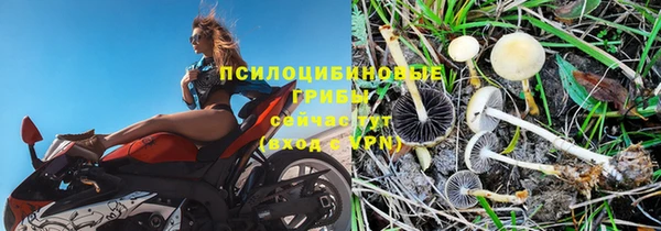 бутик Богданович