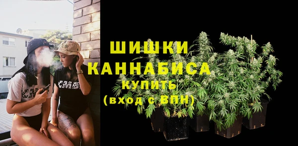 шишки Богородск