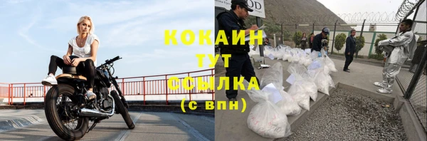 apvp Бородино