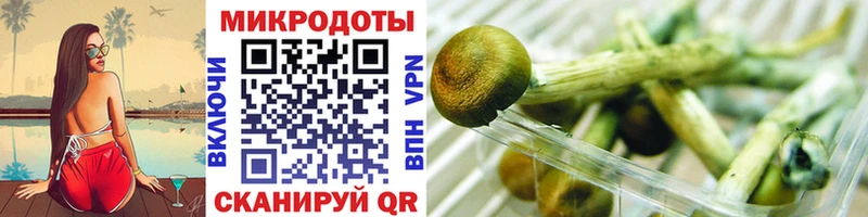 Галлюциногенные грибы ЛСД  сайты даркнета как зайти  Кострома  где можно купить  