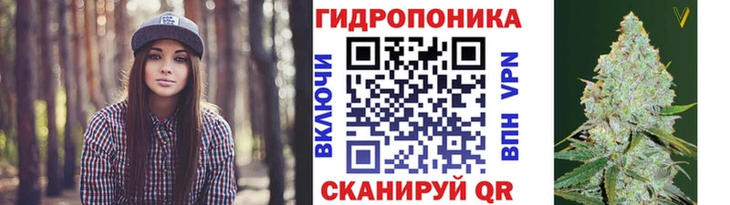 Конопля сатива  OMG зеркало  Кострома 